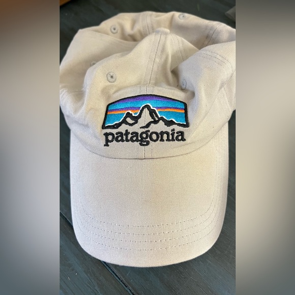 Patagonia Other - Patagonia Hat